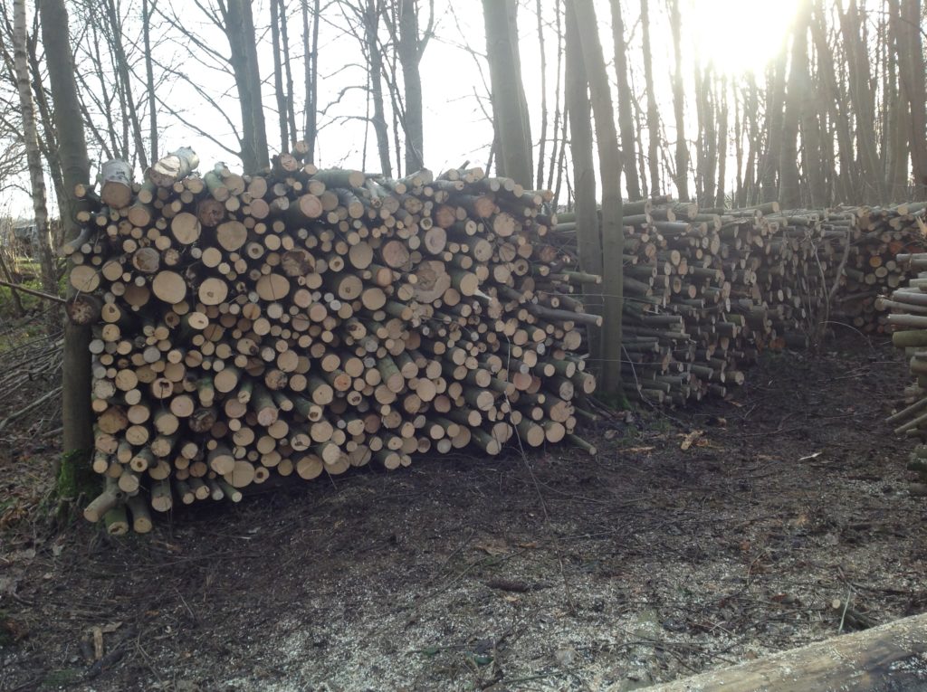 Brandhout te koop - Natuurpunt Zuidrand Antwerpen